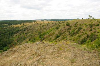 Mohelenská hadcová step